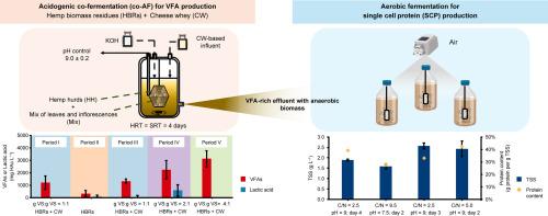 Valorisation of industrial hemp (Cannabis sativa L.) residues and cheese whey into volatile fatty acids for single cell protein production