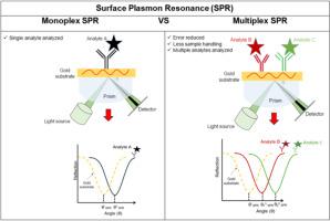 Recent advances in the development of multiplexed nanophotonic biosensors.