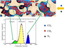 Study of displacement behavior and dispersion characteristics based on low-field NMR in the context of CO2 geological sequestration and enhanced methane recovery