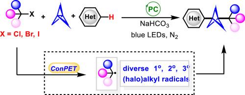 Photocatalytic Minisci-type multicomponent reaction for the synthesis of 1-(halo)alkyl-3-heteroaryl bicyclo[1.1.1]pentanes