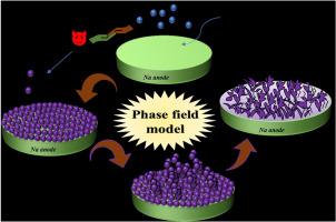 Phase field simulation of dendrites morphology evolution in sodium metal batteries