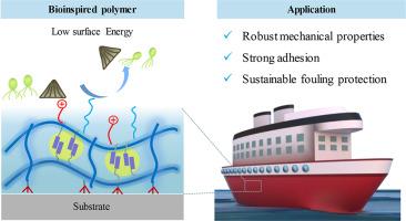 Development of a mechanically robust silicon-based cross-linking polymer for the sustainable marine antifouling coatings