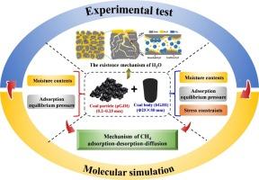 Investigation of desorption and diffusion of gas within low-rank bituminous coal under moisture-stress constraints