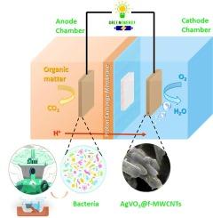 Improving oxygen reduction reaction of microbial fuel cell by silver vanadate blended functionalized multiwall carbon nanotubes as cathode