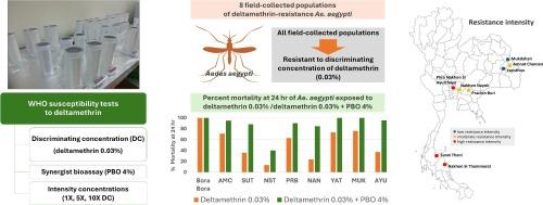 Deltamethrin resistance intensity and synergistic effect of piperonyl butoxide for combating Aedes aegypti in dengue fever endemic areas in Thailand