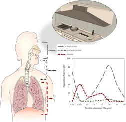 Lung deposition of PM-bound trace elements and corresponding human health risk assessment in commercial kitchens serving Mediterranean cuisine