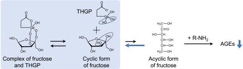 Inhibitory effect of organogermanium compound 3-(trihydroxygermyl)propanoic acid on fructose-induced glycation of amino compounds