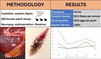 Ovine dicrocoeliosis in Castellón province, eastern Spain: Prevalence, dynamics, and comparative study of different diagnostic techniques