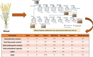 Distribution of antioxidants and phenolic compounds in flour milling fractions from hard red winter wheat