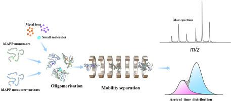 Understanding the structural dynamics of human islet amyloid polypeptide: Advancements in and applications of ion-mobility mass spectrometry