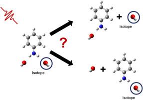 Branching ratio in the photodissociation of (C6H5NH2)+-H2O–H218O