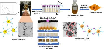 Sensitive and selective colorimetric sensor detection of Sn (II): An aqueous, paper, and gel-based method by green biomimetic silver nanoparticles