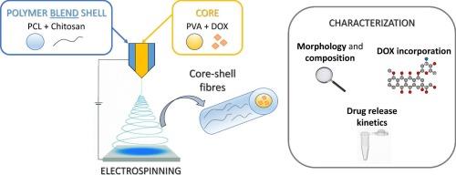 Electrospun matrices for sustained drug release made by a PCL-chitosan blend shell and a PVA core