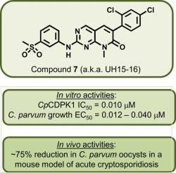 Pyridopyrimidinones as a new chemotype of calcium dependent protein kinase 1 (CDPK1) inhibitors for Cryptosporidium