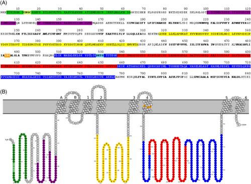 Copper resistance in the cold: Genome analysis and characterisation of a PIB-1 ATPase in Bizionia argentinensis