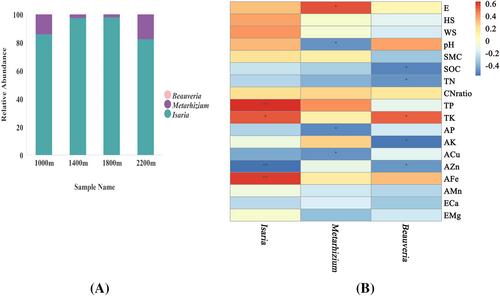 Diversity of soil fungi and entomopathogenic fungi in subtropical mountain forest in southwest China