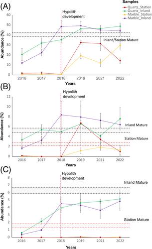 Kinetics and pathways of sub-lithic microbial community (hypolithon) development