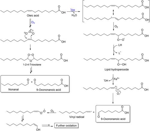 Chemical and physical changes induced by cold plasma treatment of foods: A critical review