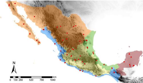 Dominance of African racial ancestry in honey bee colonies of Mexico 30 years after the migration of hybrids from South America