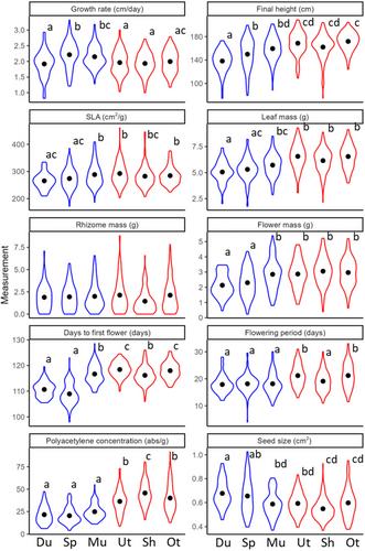 Evolution of “invasion syndrome” in invasive goldenrod is not constrained by genetic trade-offs