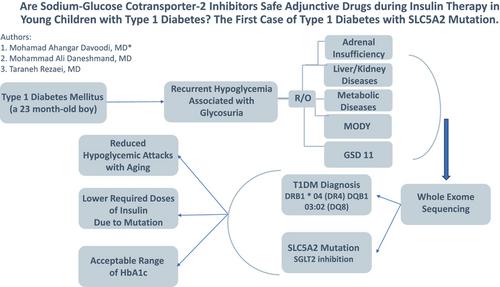 Are sodium-glucose cotransporter-2 inhibitors safe adjunctive drugs during insulin therapy in young children with type 1 diabetes? The first case of type 1 diabetes with SLC5A2 mutation