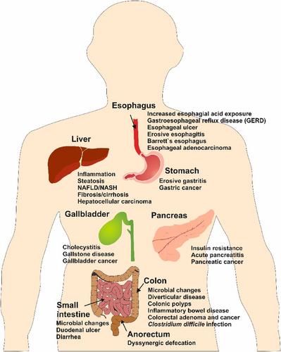 The signaling pathways in obesity-related complications