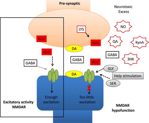 Integration of proteinogenic amino acids in the pathogenesis of schizophrenia