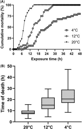 Temperate Versus Arctic: Unraveling the Effects of Temperature on Oil Toxicity in Gammarids