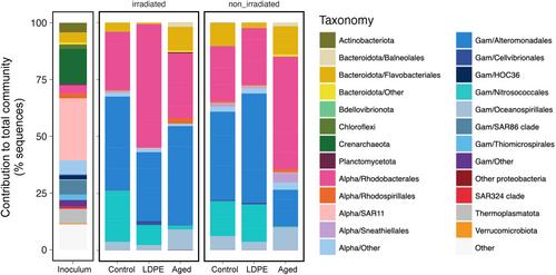 Diversity of marine bacteria growing on leachates from virgin and weathered plastic: Insights into potential degraders