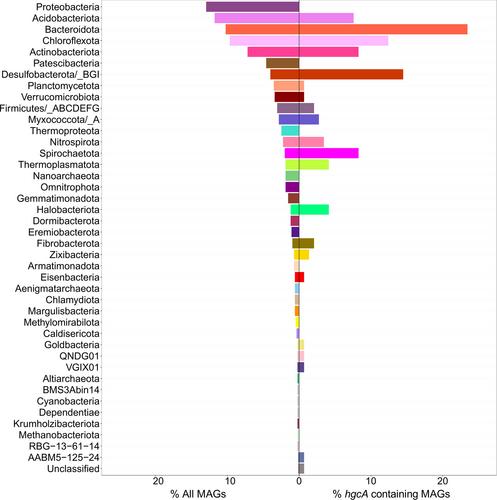 A genome catalogue of mercury-methylating bacteria and archaea from sediments of a boreal river facing human disturbances