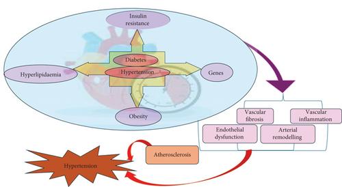 Cardiovascular Diseases Among Indian Older Adults: A Comprehensive Review