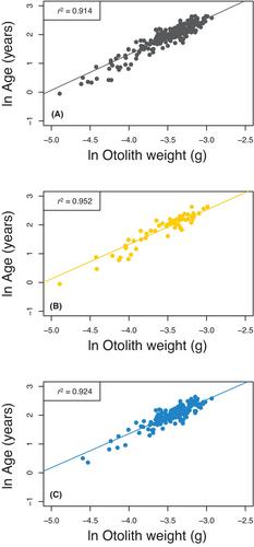 Age, growth, and mortality of Blackfin Tuna in the Gulf of Mexico