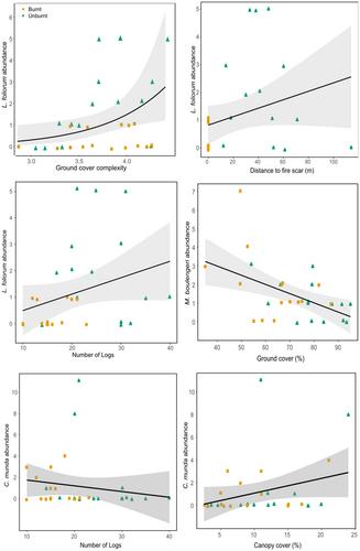 Unburnt areas in subtropical woodlands contain distinct reptile communities after extensive wildfire