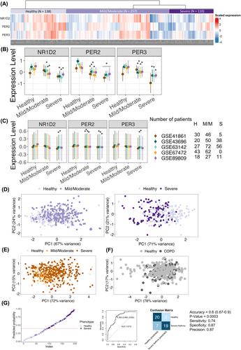 Severe asthmatic airways have distinct circadian clock gene expression pattern associated with WNT signaling