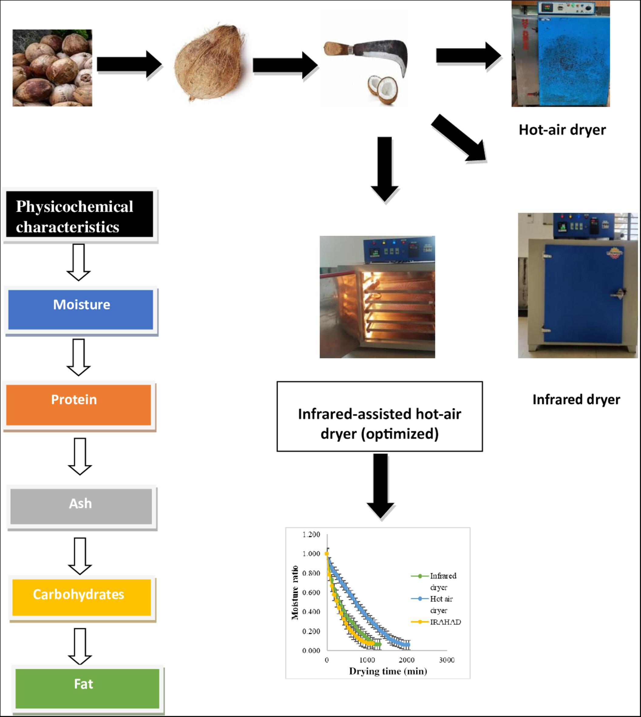 Infrared-aided hot-air drying of coconut: Impact on drying kinetics and quality metrics