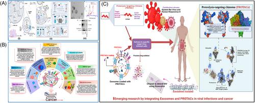 Tear exosome-based PROteolysis TArgeting Chimeras nanomedicine for human immunodeficiency virus-mediated cancer treatment