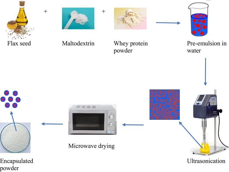 Process optimization for developing ultrasound assisted and microwave dried encapsulated flaxseed oil and its storability