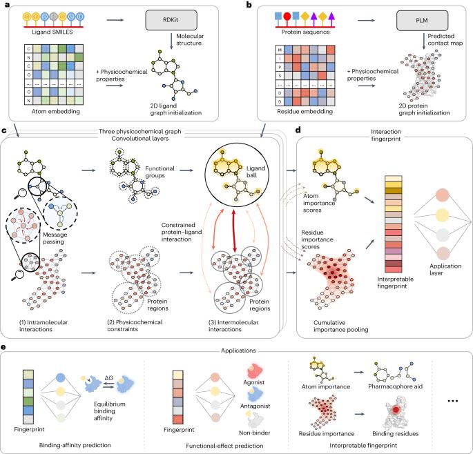 Physicochemical graph neural network for learning protein–ligand interaction fingerprints from sequence data