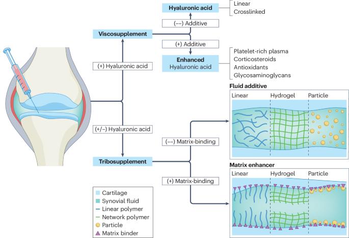 Advances in viscosupplementation and tribosupplementation for early-stage osteoarthritis therapy