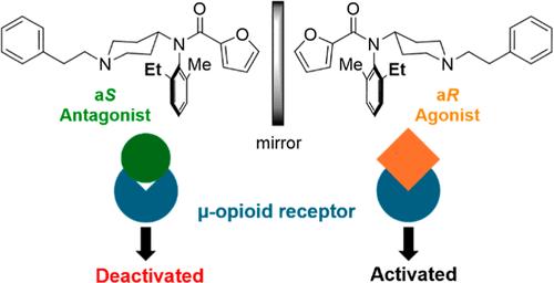 Fentanyl-Type Antagonist of the μ-Opioid Receptor: Important Role of Axial Chirality in the Active Conformation