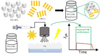 Towards sustainable TiO2 photoelectrodes based on cellulose nanocrystals as a processing adjuvant†