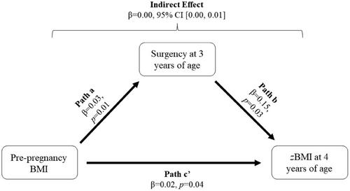 Early Life Surgency, but not Effortful Control or Negative Affectivity, Is a Mediating Variable Between Maternal Pre-Pregnancy Body Mass Index and Childhood Obesity Risk