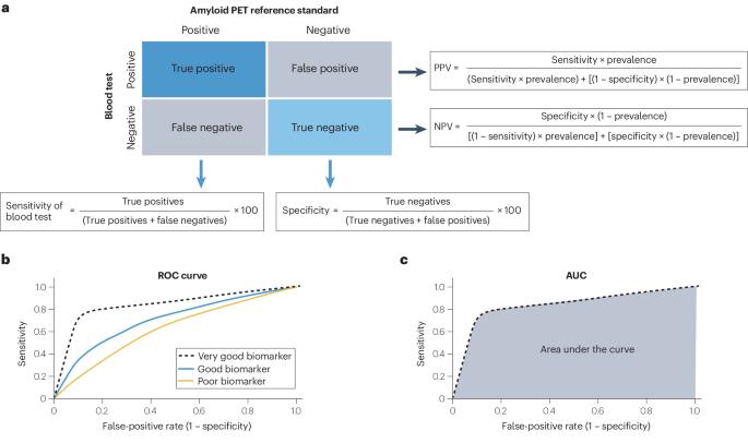 Acceptable performance of blood biomarker tests of amyloid pathology — recommendations from the Global CEO Initiative on Alzheimer’s Disease