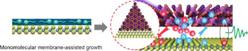 Monomolecular Membrane-Assisted Growth of Antimony Halide Perovskite/MoS2 Van der Waals Epitaxial Heterojunctions with Long-Lived Interlayer Exciton