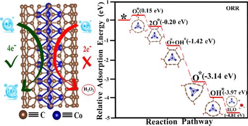 Revealing the Mechanism and Activity of O2 Reduction Reaction of Co Nanocluster Encapsulated by Carbon Nanotube