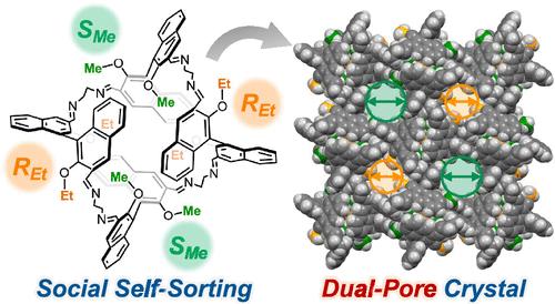 Social Self-Sorting of Quasi-Racemates: A Unique Approach for Dual-Pore Molecular Crystals