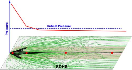 Numerical Analysis and Quantification of Transfer Efficiency Coupled with Capillary and Quadrupole Ion Guide in an API-MS System