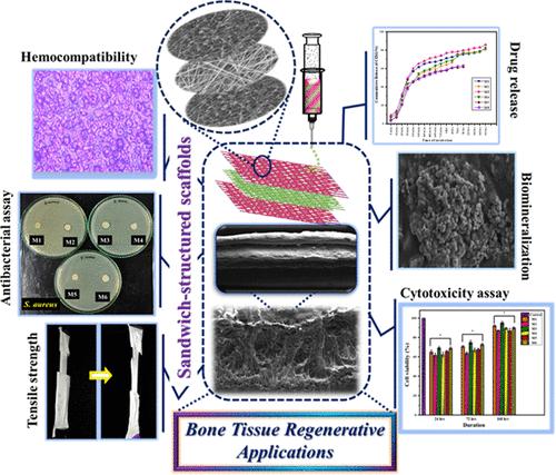 Comparative Analysis of Electrospun Silk Fibroin/Chitosan Sandwich-Structured Scaffolds for Osteo Regeneration: Evaluating Mechanical Properties, Biological Performance, and Drug Release