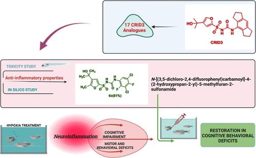 Development of CRID3-Based Anti-inflammatory Agents to Ameliorate Chronic Hypoxia-Induced Memory Impairment in Zebrafish Models