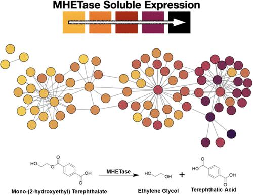 Increasing the Soluble Expression and Whole-Cell Activity of the Plastic-Degrading Enzyme MHETase through Consensus Design